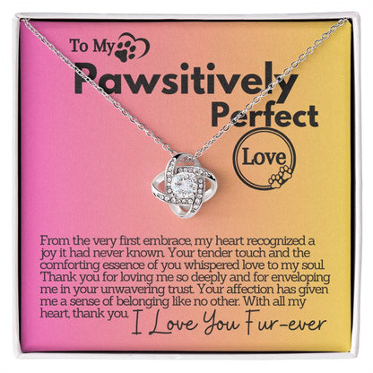 Pawsitively Perfect Love: A Heartfelt Thank You and Unwavering Trust