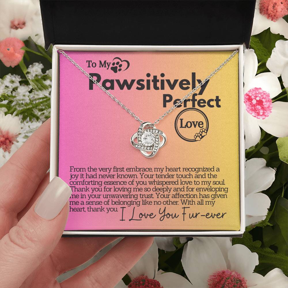 Pawsitively Perfect Love: A Heartfelt Thank You and Unwavering Trust