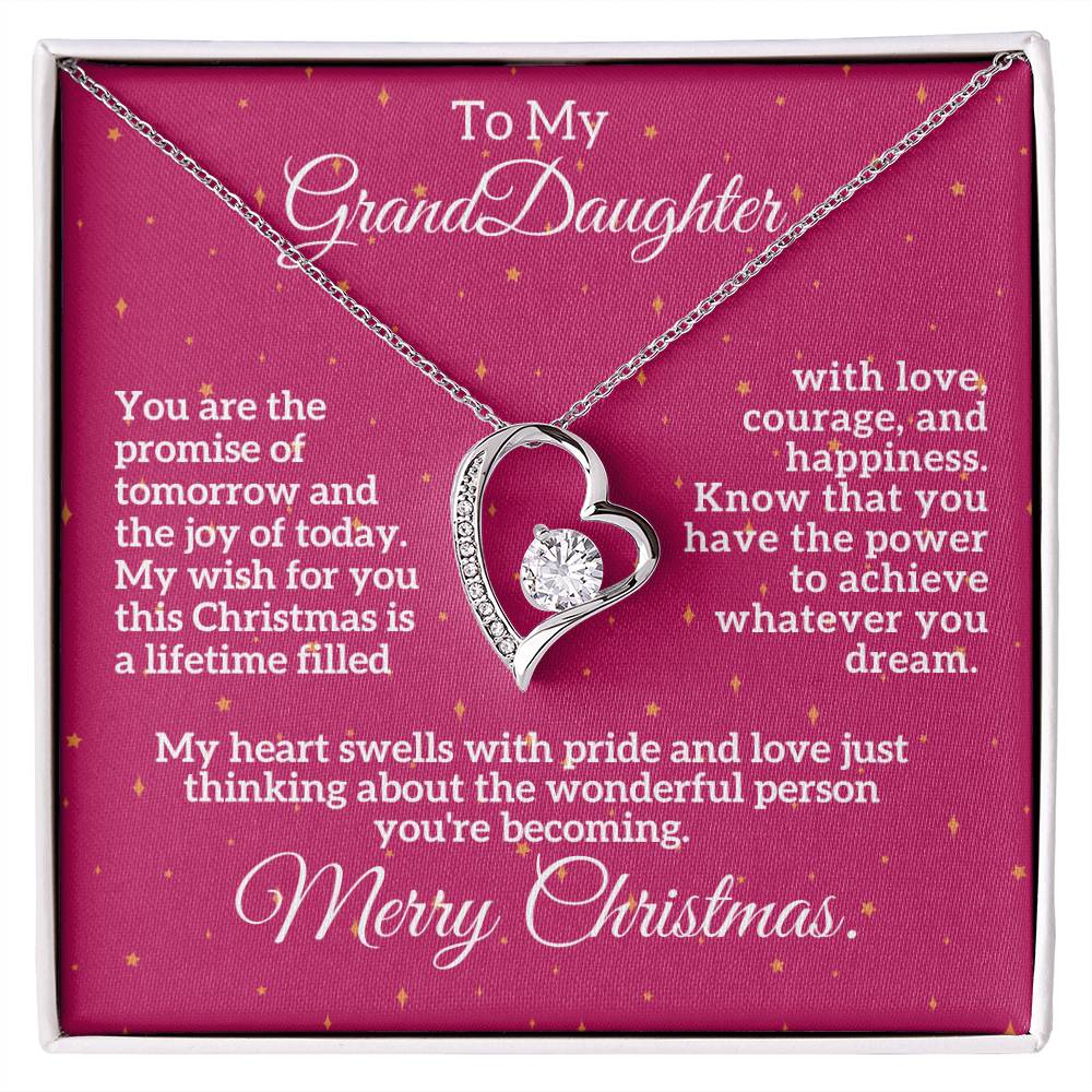 Merry Christmas to My Granddaughter: A Lifetime of Love, Courage, and Happiness